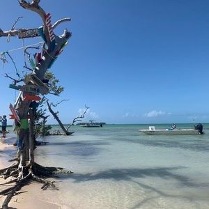 Meet your Posher, Shelley